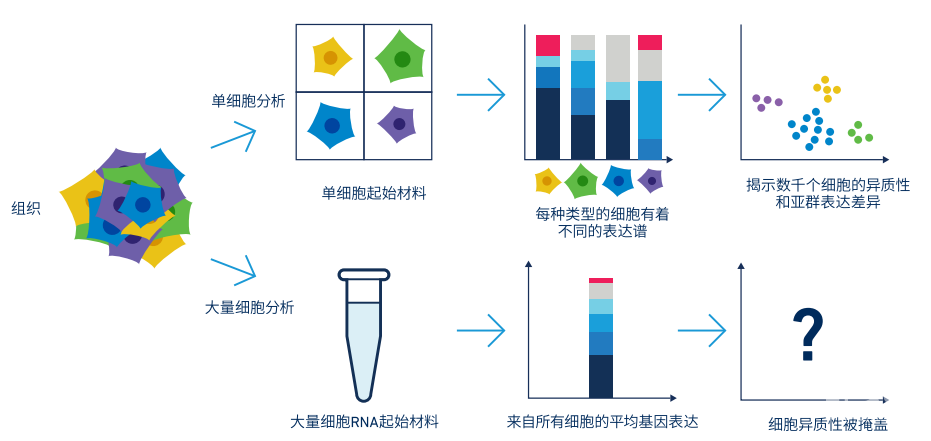 單細胞測序和傳統測序的區別.png